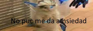 xNTOx banner