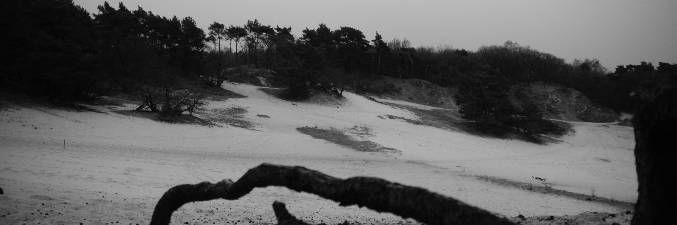 GerardHoutman's profile banner image