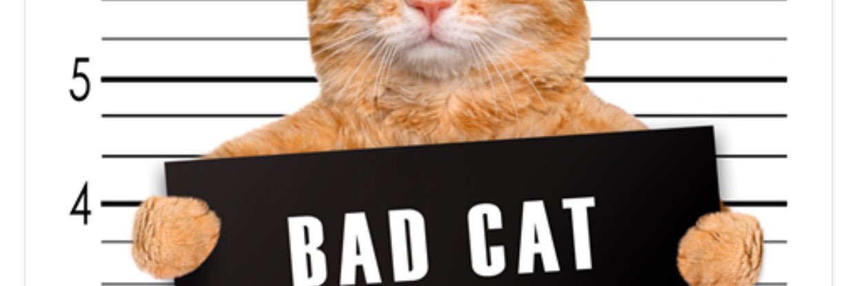 WinstonTabby's profile banner image