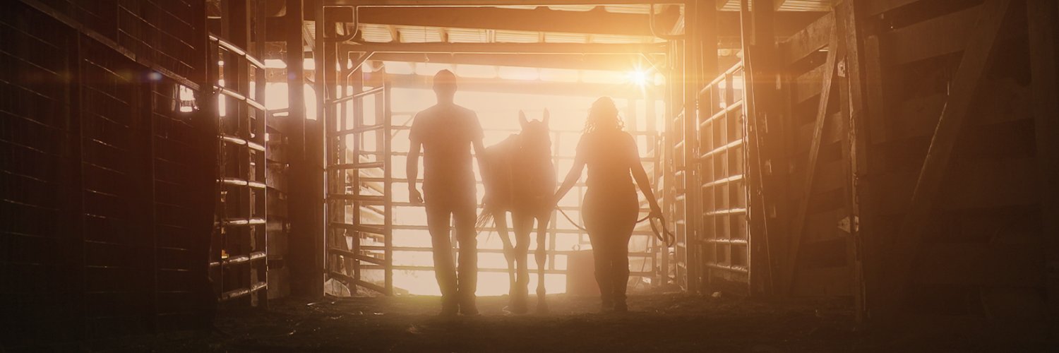 horsehumane's profile banner image