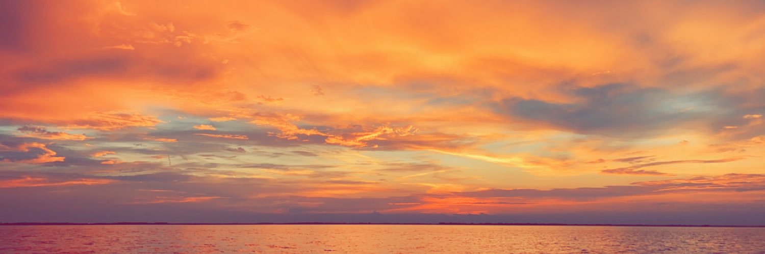 Brandon_Horman's profile banner image