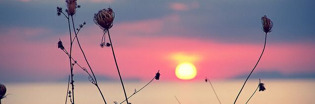 DoYouMind13's profile banner image