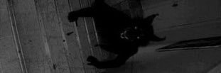 Cento_X's profile banner image