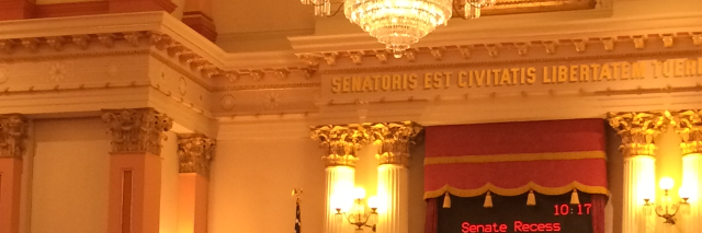 SenatorLeyva's profile banner image