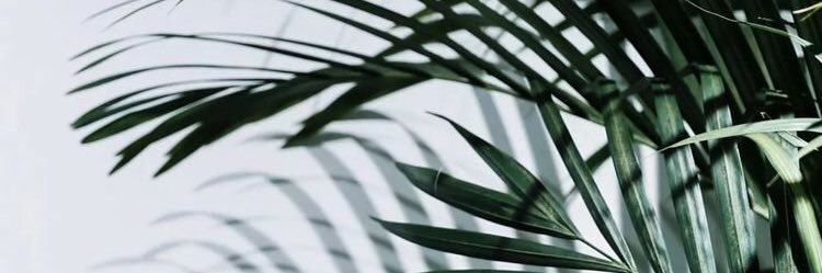 Fleuregete's profile banner image