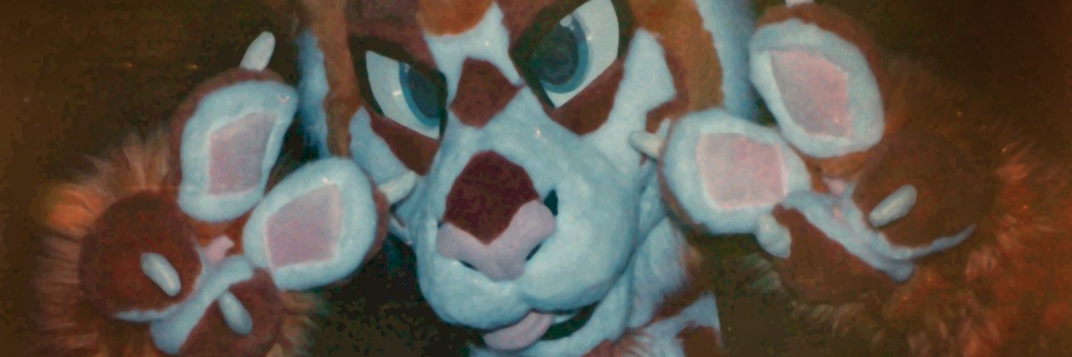 NiamkyTails's profile banner image