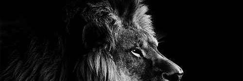 AnyikaMissing's profile banner image