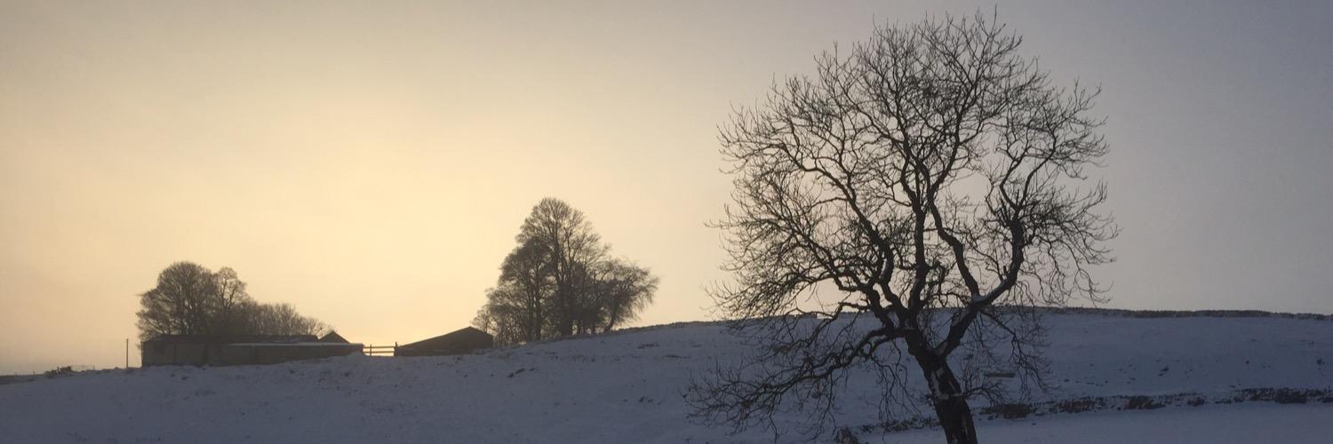 MatHarvs's profile banner image