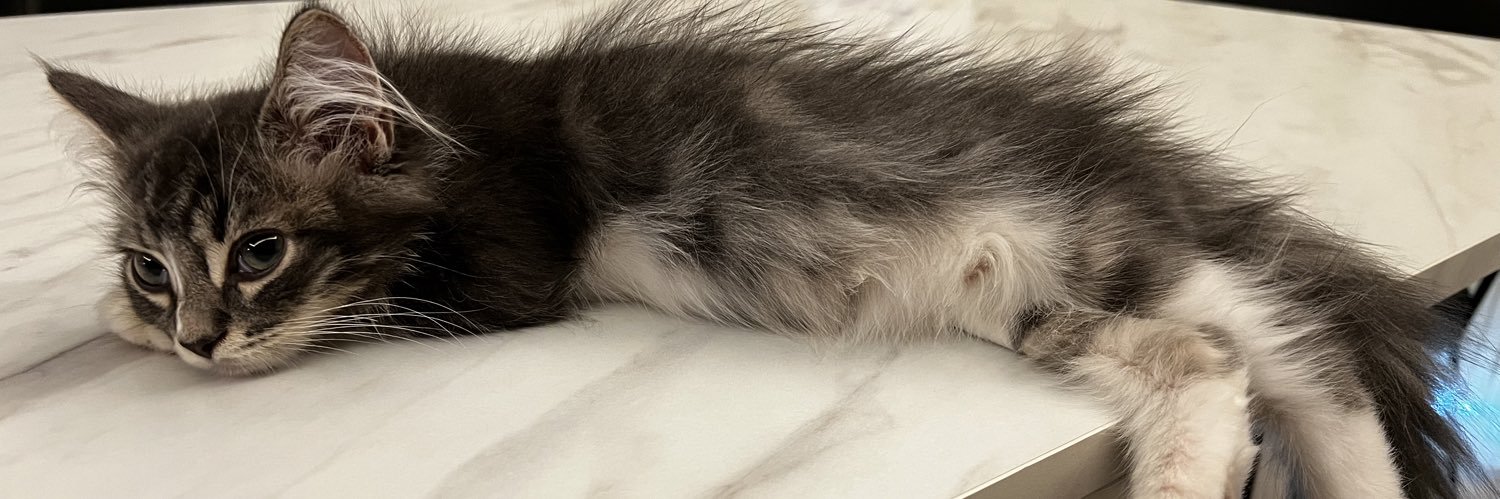 Louis_Socks_'s profile banner image