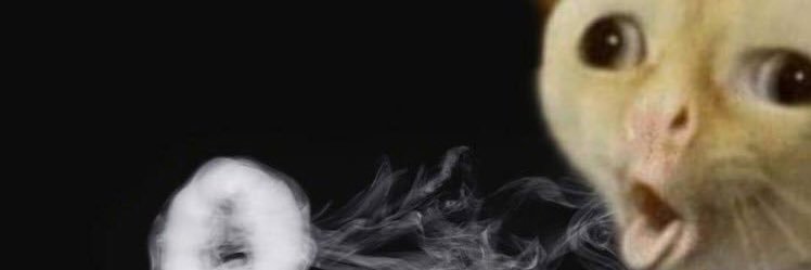 windwhistleweb's profile banner image