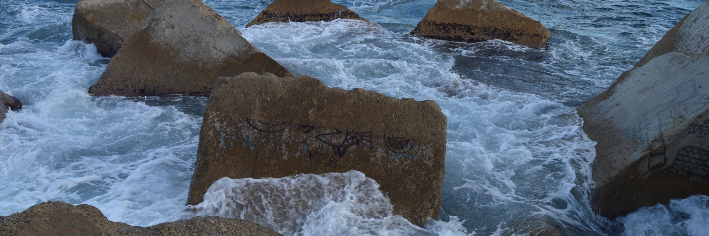 kiwiment's profile banner image