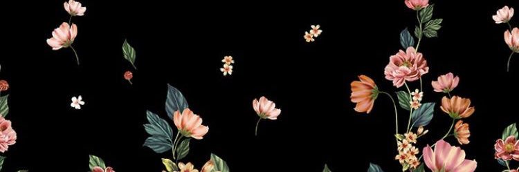 jb_erikasantos's profile banner image