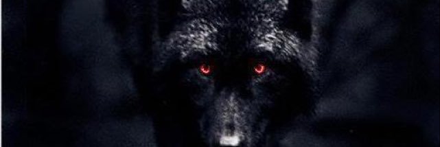 Hcontreras28's profile banner image