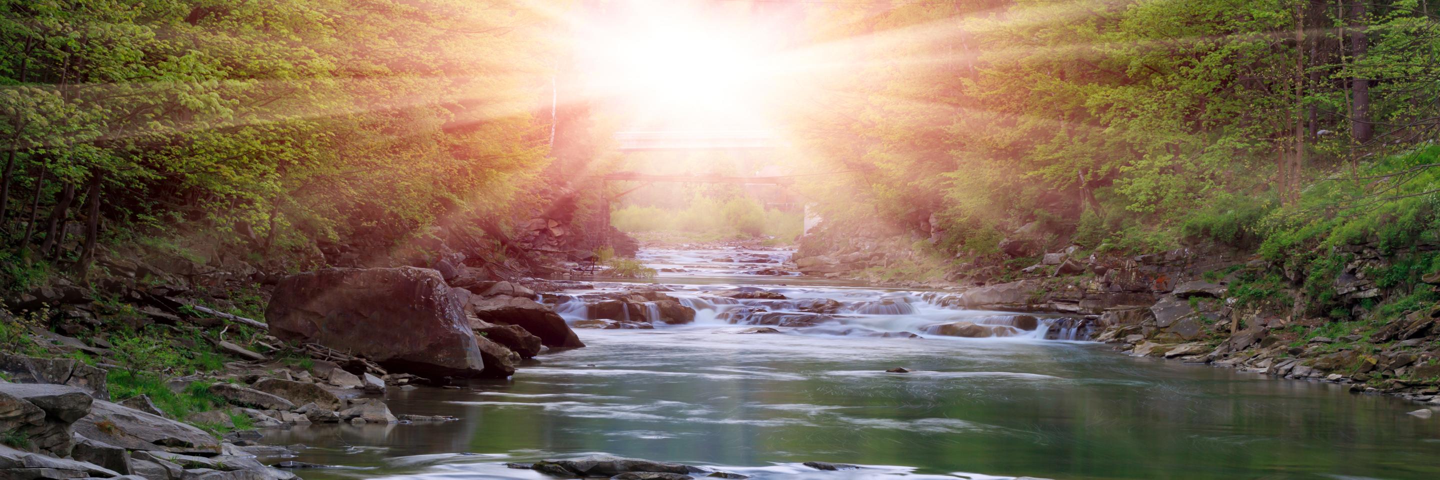 hidden_stream's profile banner image