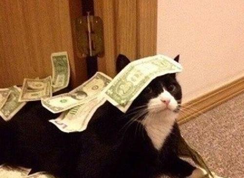 Best.Zoom.Ever. banner