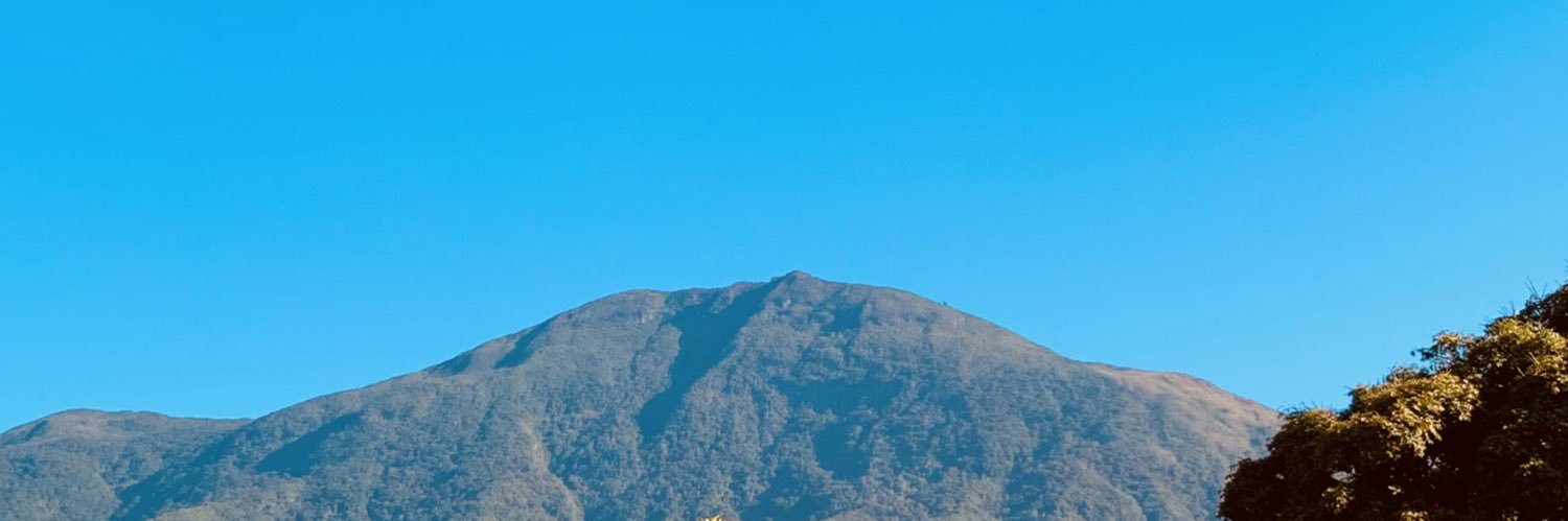 AlbaMarcanoC's profile banner image