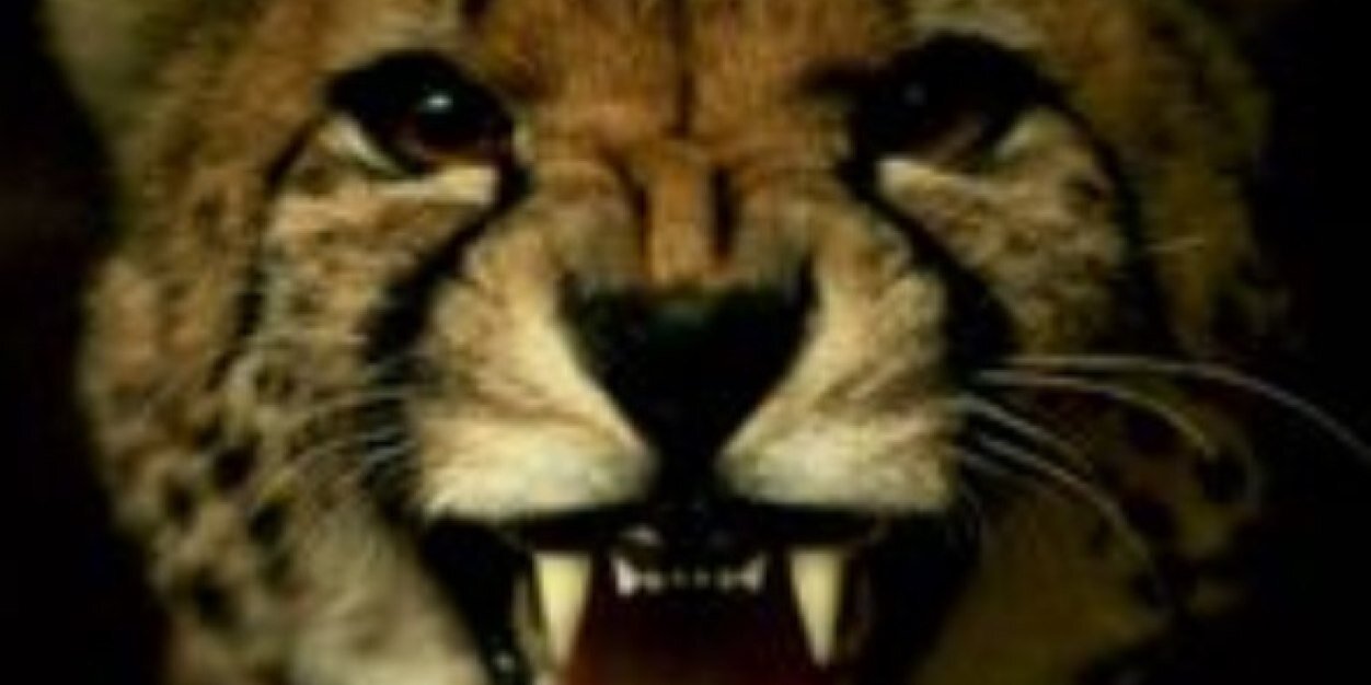 itsrafaellaaaa's profile banner image