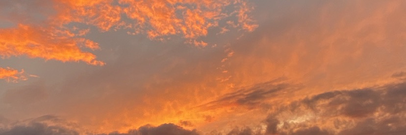 LabargaLaura's profile banner image