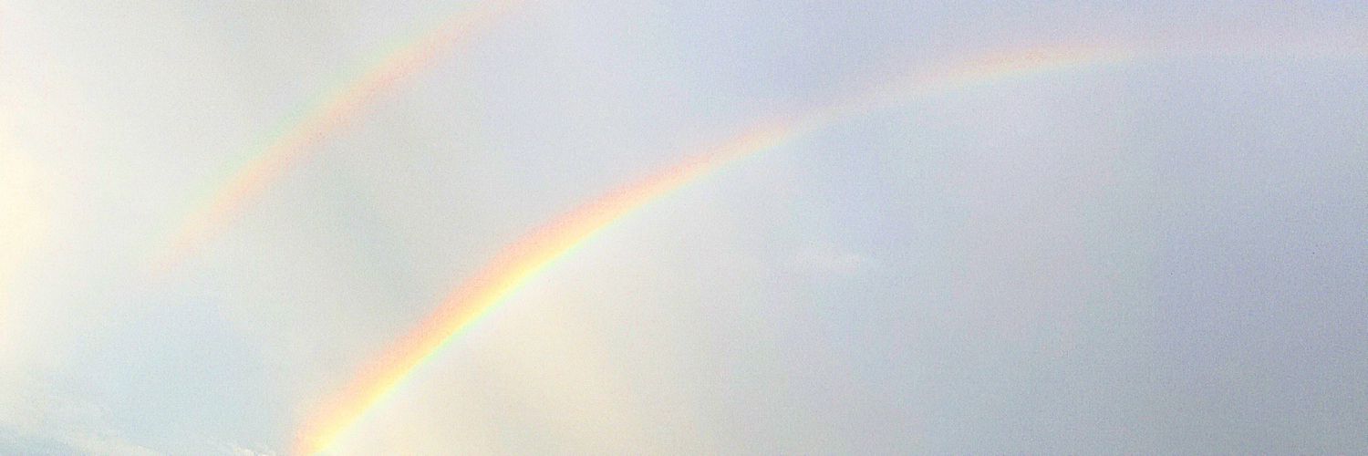 cherrywineharry's profile banner image