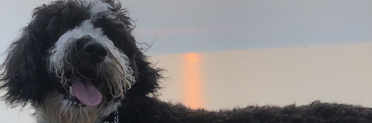 LOG banner