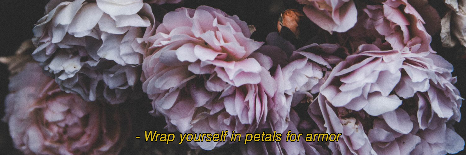 ♡ 𝕭𝖊𝖑 ♡ banner