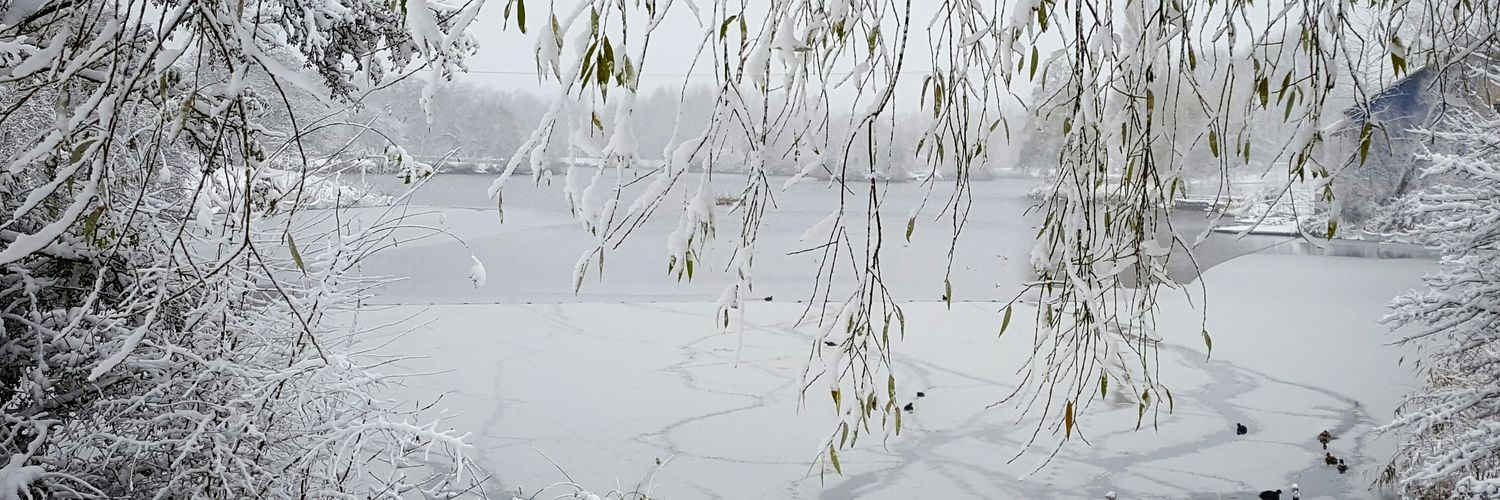 TurtleFleur's profile banner image