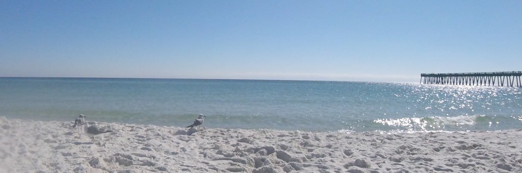caitbass's profile banner image