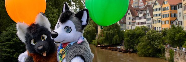 SkeppoBalloon Profile Banner