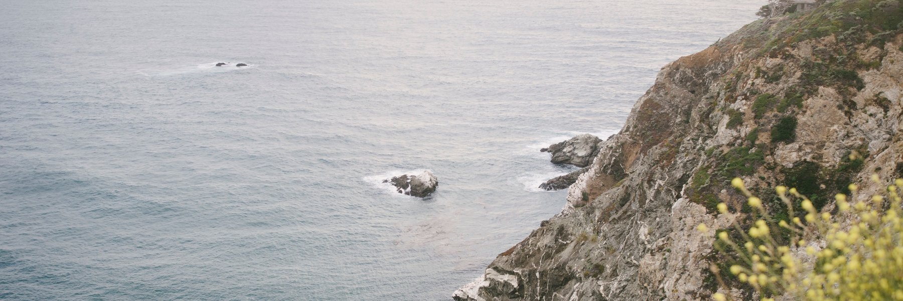 samefishnewpond's profile banner image
