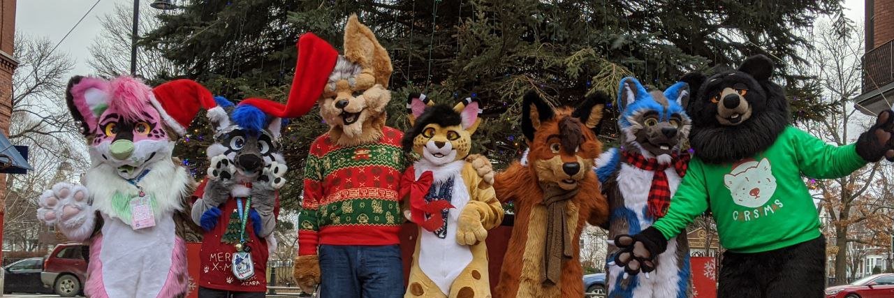 VermontFurs's profile banner image