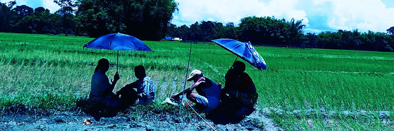BorahManoshi's profile banner image