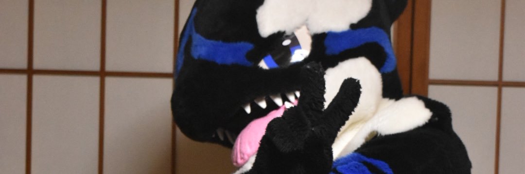 SC_Raiha's profile banner image