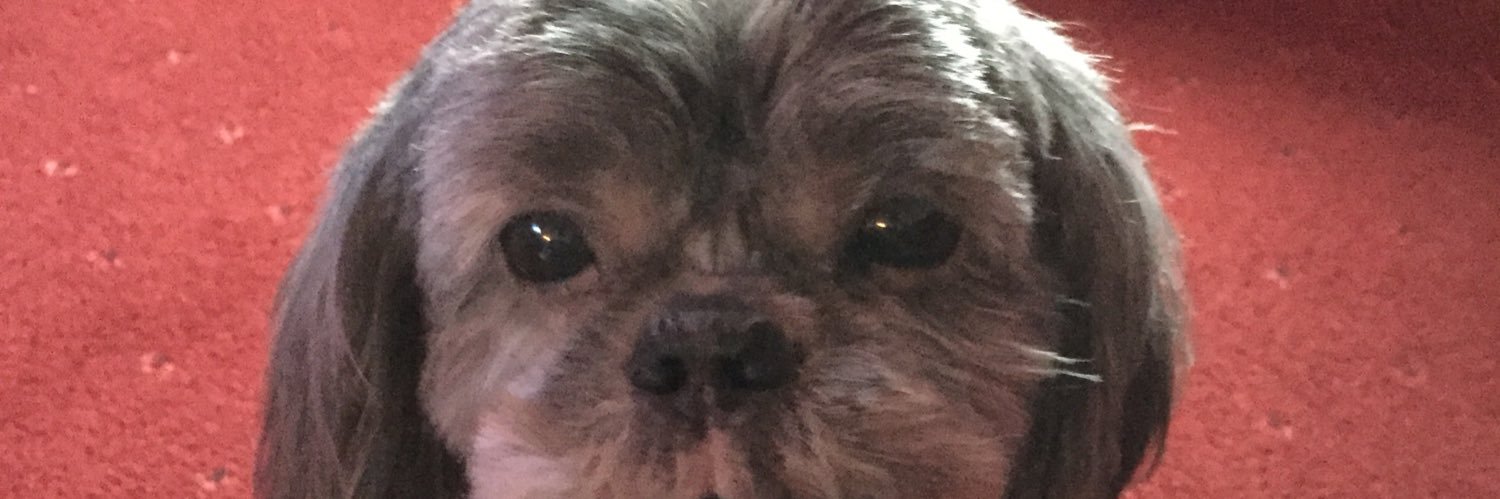 paulathene's profile banner image