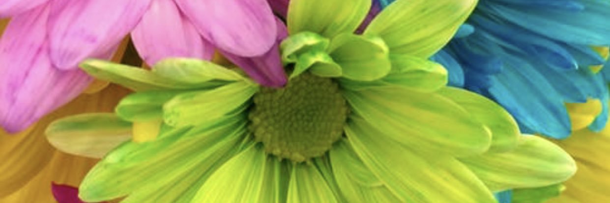 karprice's profile banner image
