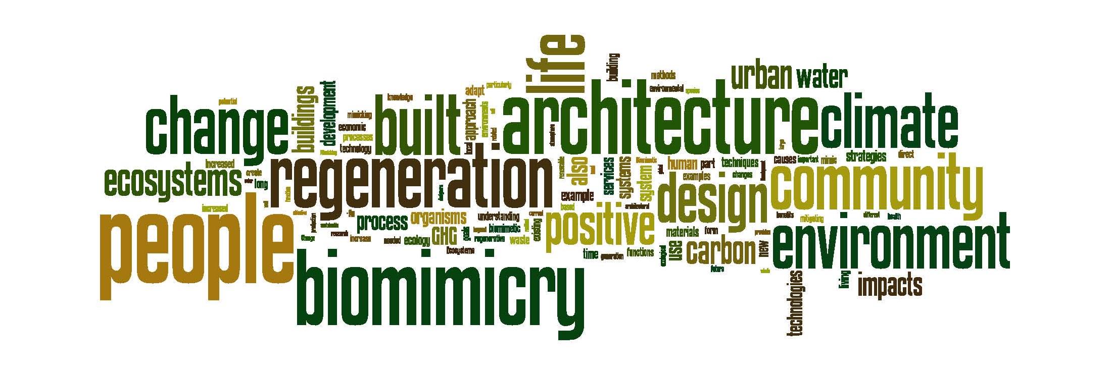 Dr Maibritt Pedersen Zari banner