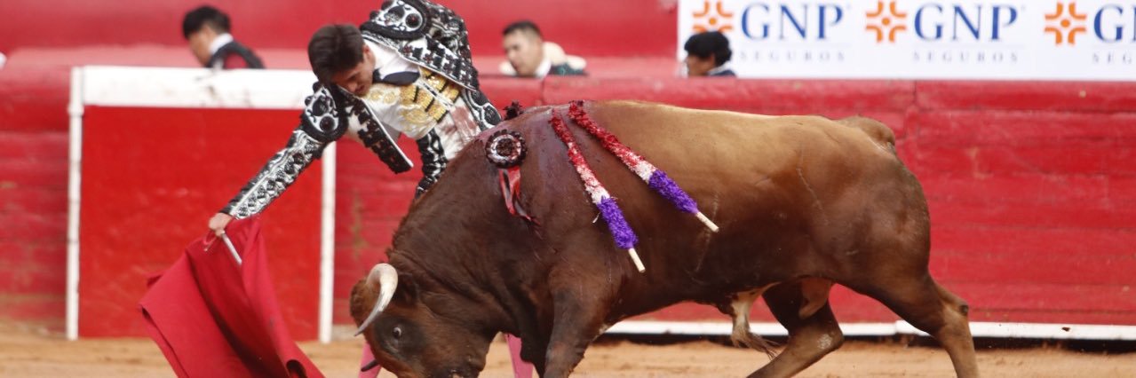 Sebastián Ibelles banner