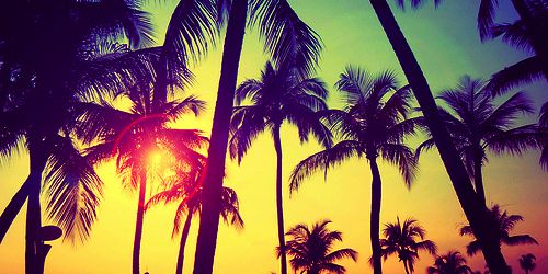 JOorDii91's profile banner image