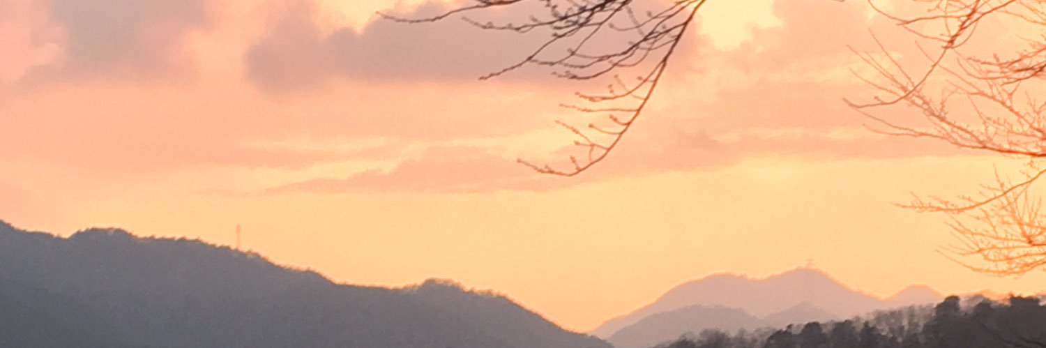 oshiborix's profile banner image
