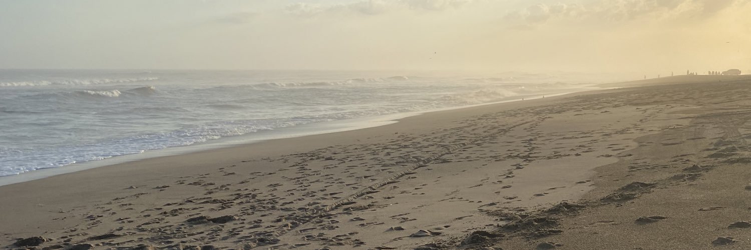 Anna_Reboredo's profile banner image