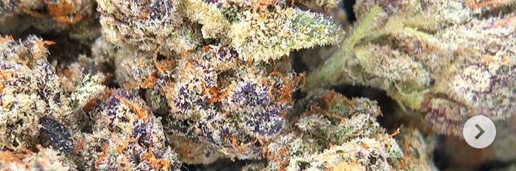 WeedmanMike's profile banner image