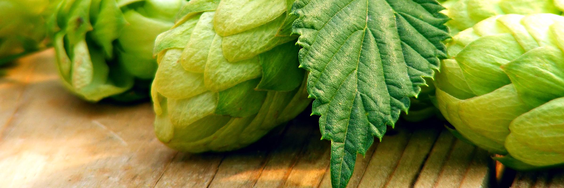 Amery Ale Works banner