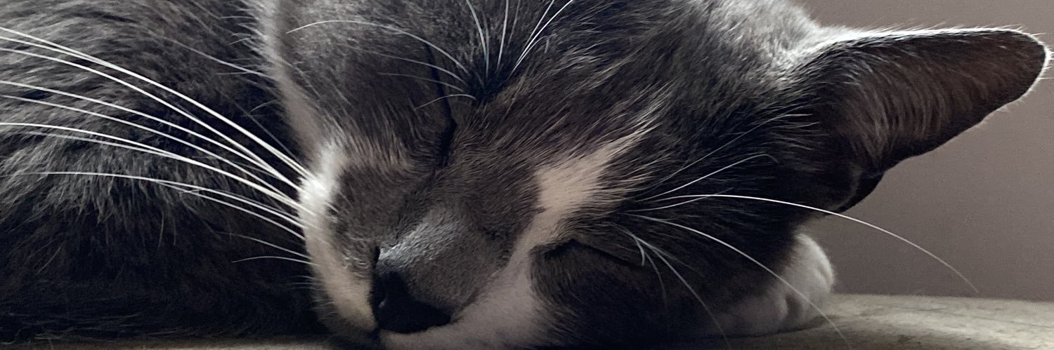 nnottero's profile banner image