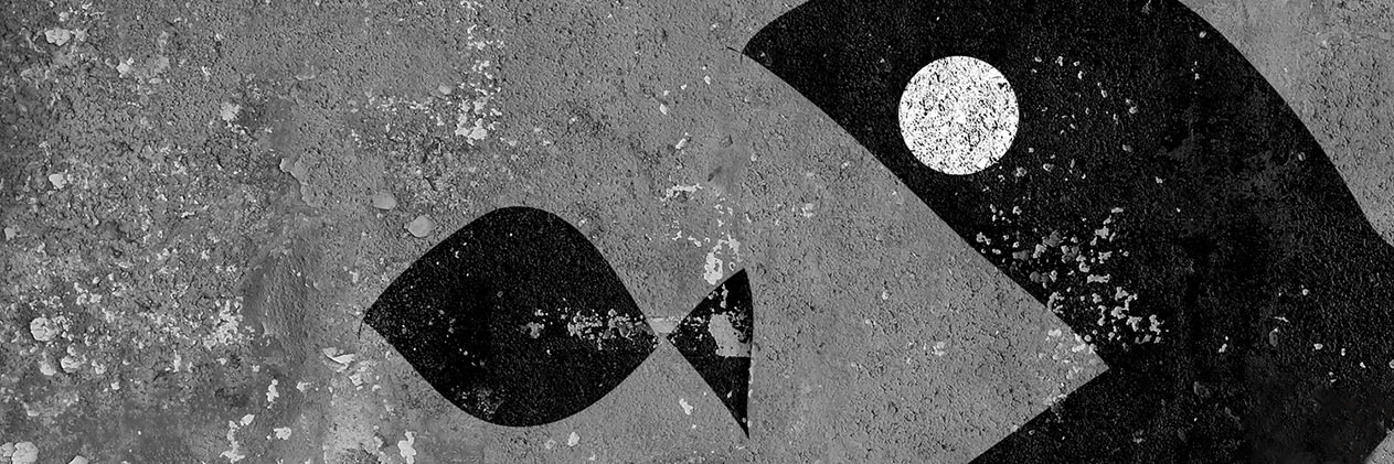 MergerEagle's profile banner image