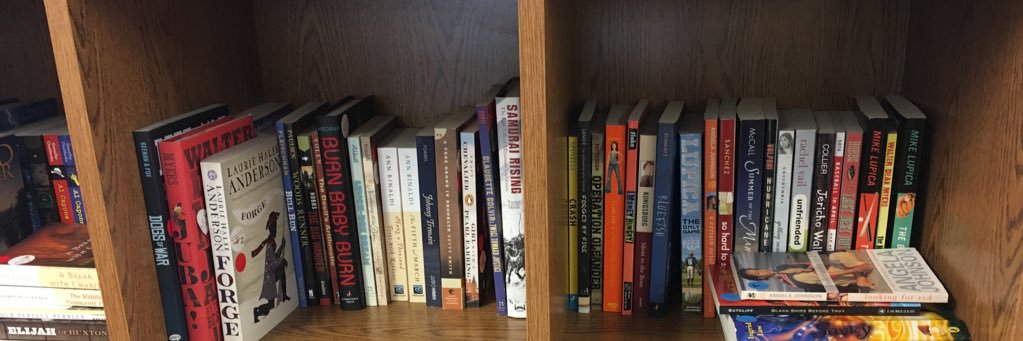 Cari Bruzelius banner