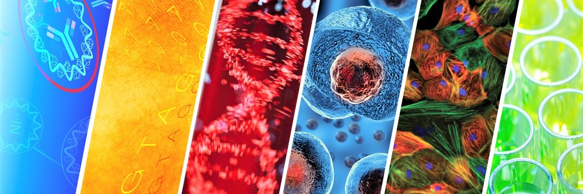 Scientifix banner