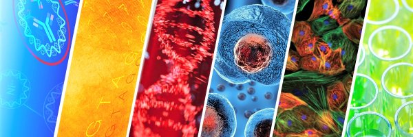 ScientifixAU Profile Banner