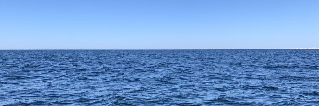 Ross friedrick banner