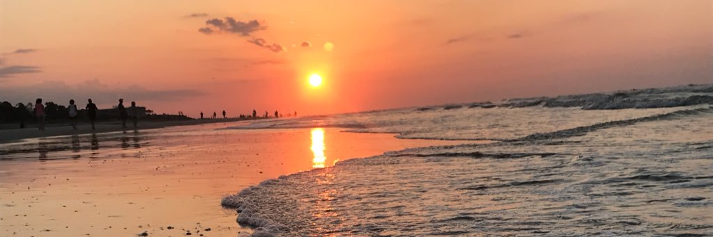 Swimmingtaylor's profile banner image