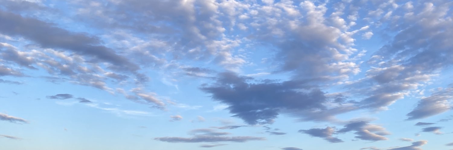 savwillliamson's profile banner image