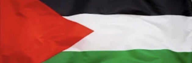 Major Chase #FreePalestine 🇵🇸 WISE UP WORLD banner